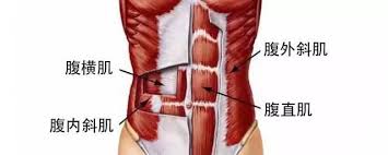 跑步需要的核心肌群
